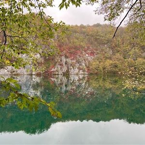 Meet your Posher, Tina